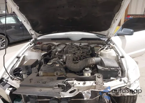 2006 Ford Mustang V6 z USA, uszkodzony, nr VIN 1ZVFT80NX65237244